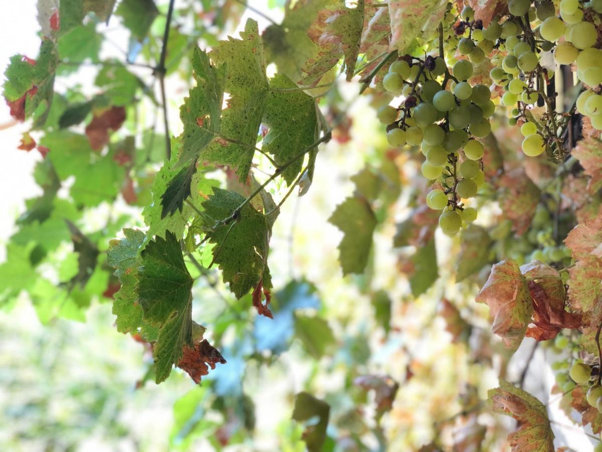 L'Antico Podere Soresina المظهر الخارجي الصورة